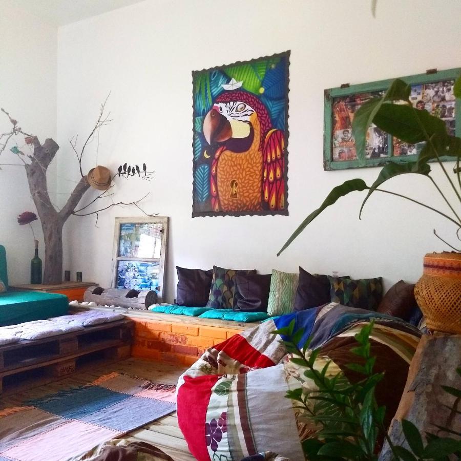 Katsbarnea Albergue Florianopolis