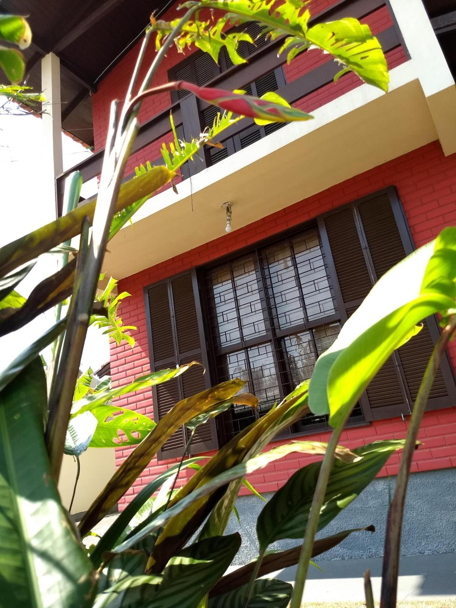 Katsbarnea Florianópolis
