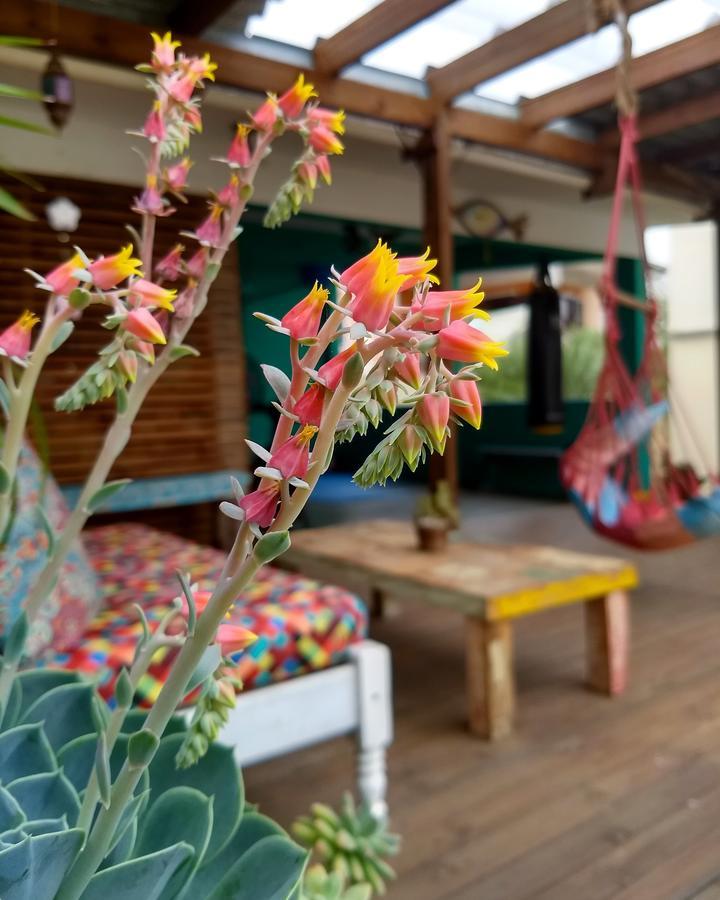 Katsbarnea * Florianópolis